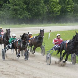 Kęstučio Vanago/RLŽL nuotr. | Organizatorių nuotr. 1