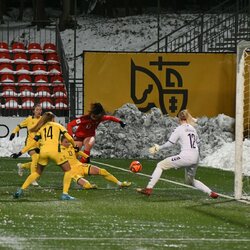 Lietuvių ir šveicarių rungtynės | Petro Lozdos nuotr. 2