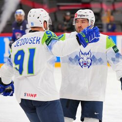 Slovėnija – Prancūzija rungtynių akimirka | IIHF nuotr. 4
