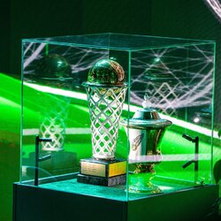 „Žalgirio“ logotipo pristatymas | BNS nuotr. 1