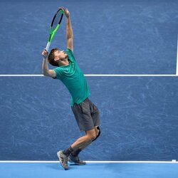 Davidas Goffinas | Scanpix nuotr. 3