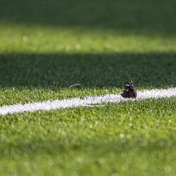 „Žalgirio“ ir „Bangos“ rungtynės | Roko Lukoševičiaus/BNS Foto nuotr. 2