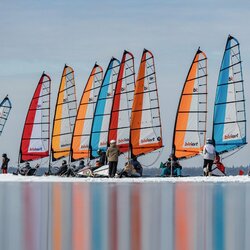 Daivos Šeibelienės nuotr. | Organizatorių nuotr. 6