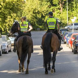 „Žalgirio“ ir „Bangos“ rungtynės | Roko Lukoševičiaus/BNS Foto nuotr. 3