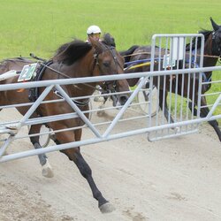 Kęstučio Vanago/RLŽL nuotr. | Organizatorių nuotr. 3