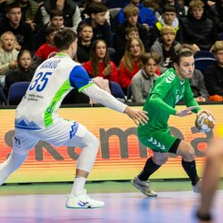 Lietuvių ir slovėnų rungtynės | Patricijos Adamovič / BNS nuotr. 3