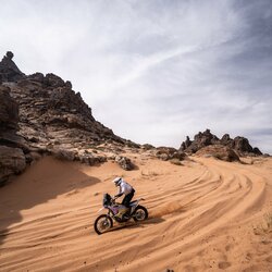 Mykolas Paulavičius | Komandos nuotr. 3