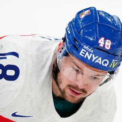 Švedijos – Čekijos rungtynių akimirka | IIHF nuotr. 3