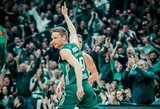 Grigonis – tarp pagrindinių „Panathinaikos“ pergalės kalvių