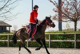 Lietuvos raitelės Estijoje iškovojo sidabrą ir bronzą