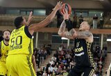 „Partizan“ nusitaikė į Theisą