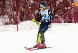 Lietuvos kalnų slidinėjimo taurės varžybose – L.Karlonaitės dominavimas ir daugiau nei 20-ies šalių atstovai