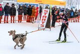 Šunų kinkinių čempionate Latvijoje – R.Adomaitytės bronza