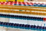 Rusų ir baltarusių plaukikai grąžinami į tarptautines varžybas, J.Jefimova užsigeidė startuoti pasaulio taurėje