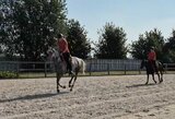 Ištvermės jojimo varžybose Slovakijoje – Ugnės Zalieckienės sidabras