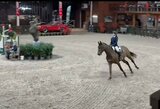 Konkūrų varžybose Belgijoje L.Leonavičiūtė iškovojo 3-ią vietą