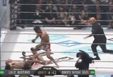 Kovoje dėl „Rizin“ čempiono diržo – nokautas per 21 sekundę