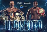 Oficialu: Oleksandras Usykas ir Danielis Dubois šią vasarą suvienys sunkiasvorių čempiono titulus