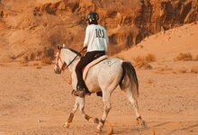 Hanan Osama Adel Hanieyeha nuotr. | Organizatorių nuotr.