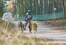 Lenktynių akimirka | „Stop“ kadras