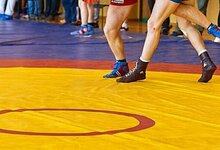 Sambo  | Eduardo Jaroševičiaus nuotr.