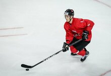 Nerijus Ališauskas | hockey.lt nuotr.