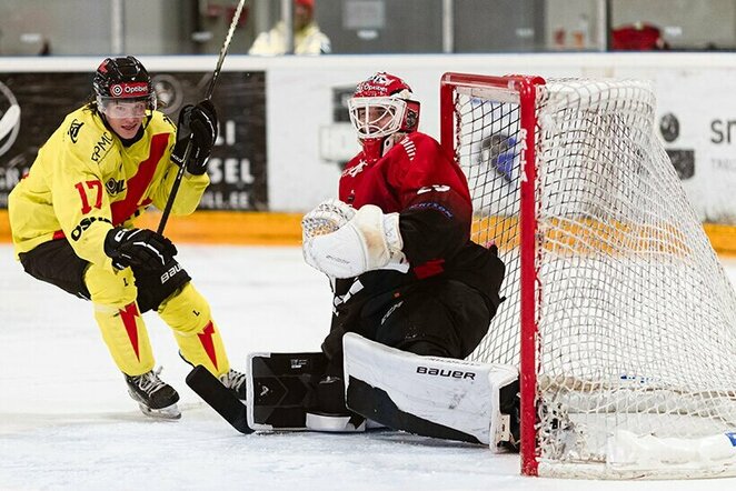 Rungtynių akimirka | hockey.lt nuotr.