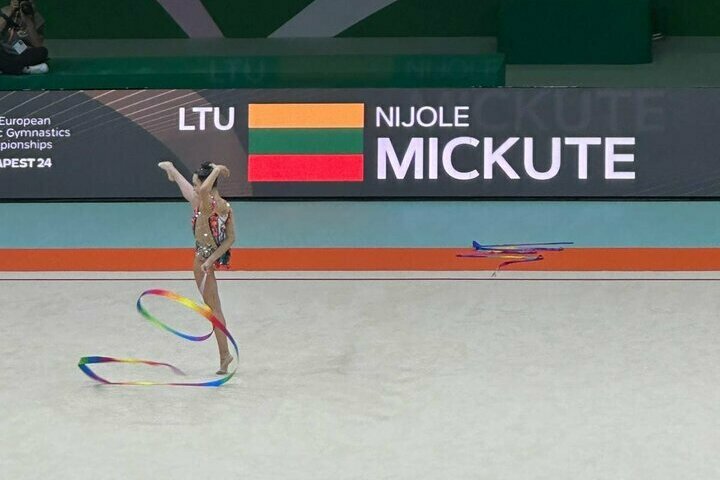 Lietuvos gimnastikos federacijos nuotr. | Organizatorių nuotr.