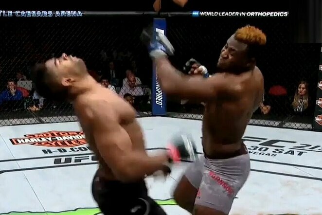 Alistairas Overeemas ir Francis Ngannou | „Stop“ kadras