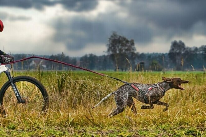 Asociatyvi nuotr. | Organizatorių nuotr.