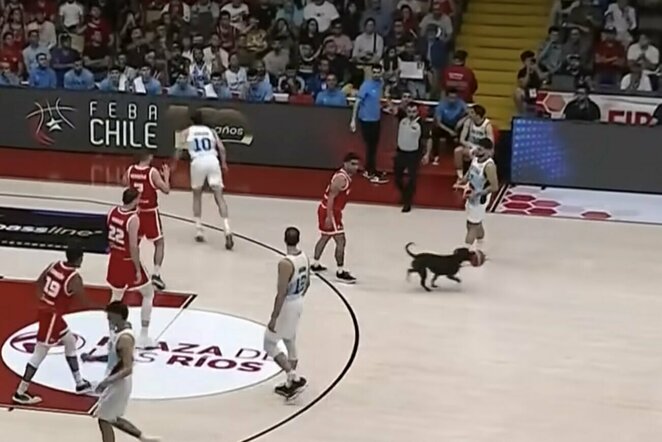 rungtynių akimirka | Organizatorių nuotr.