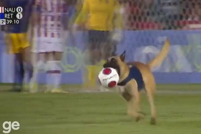 Policijos šuo sustabdė finalo rungtynes | „Stop“ kadras