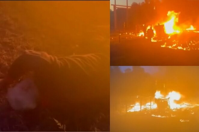 Lenkų incidentas | „Stop“ kadras