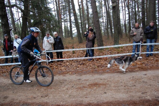 Asociatyvi nuotrauka | sleddog.lt nuotr.