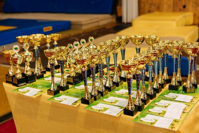 gimnastika.lt nuotr. | Organizatorių nuotr.