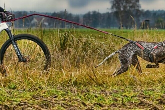 Asociatyvi nuotr. | Organizatorių nuotr.