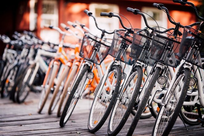 Dviračiai | Ryčio Šeškaičio nuotr.