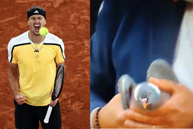 Alexanderis Zverevas ir balandis | „Scanpix“ ir instagram.com nuotr.