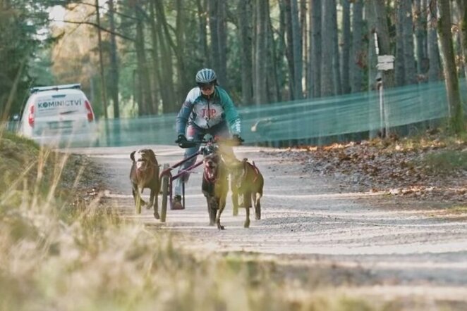 Lenktynių akimirka | „Stop“ kadras