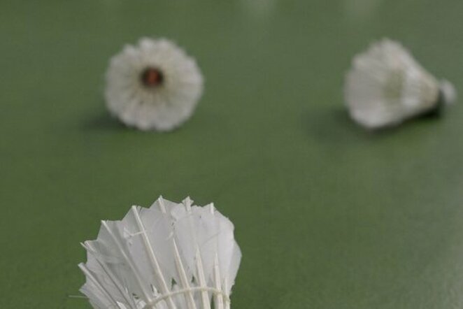 Badmintonas | Scanpix nuotr.