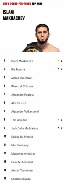 Geriausių UFC vyrų kovotojų reitingas | Organizatorių nuotr.