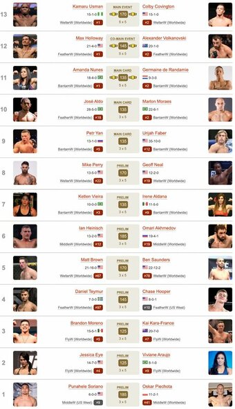 „UFC 245“