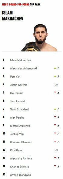 Geriausių UFC vyrų kovotojų reitingas | Organizatorių nuotr.