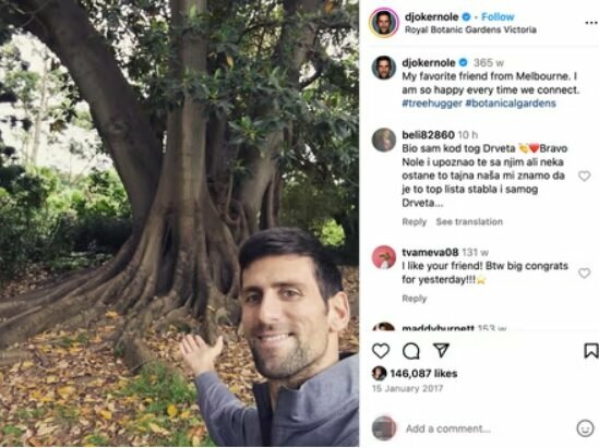 Novakas Djokovičius ir jo mėgstamas medis | Instagram.com nuotr