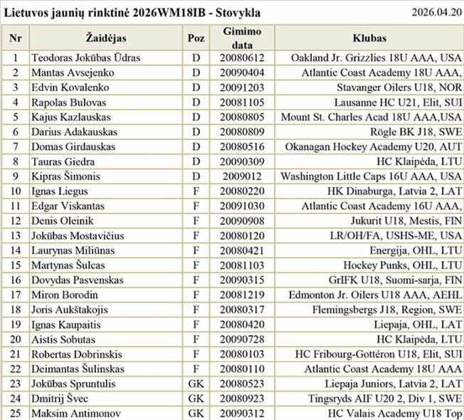 Lietuvos jaunių ledo ritulio rinktinė | hockey.lt nuotr.