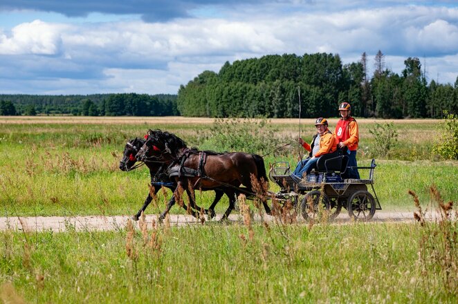 Eglės Baltrušaitienės nuotr. | Organizatorių nuotr.