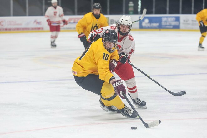 Lietuvių ir lenkų rungtynės | hockey.lt nuotr.