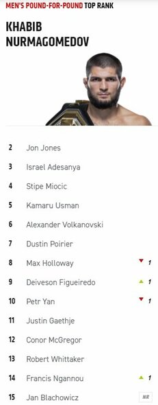 Geriausių UFC vyrų kovotojų reitingas | Organizatorių nuotr.