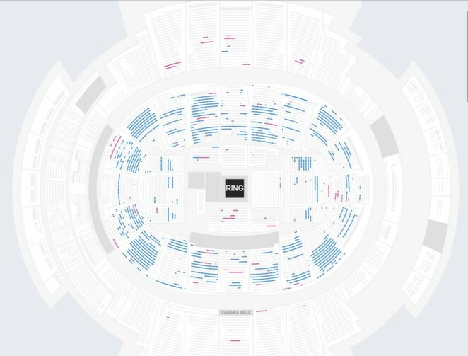 Mėlyna spalva pažymėtos laisvos vietos arenoje | Organizatorių nuotr. Mėlyna spalva pažymėtos laisvos vietos arenoje | Organizatorių nuotr.