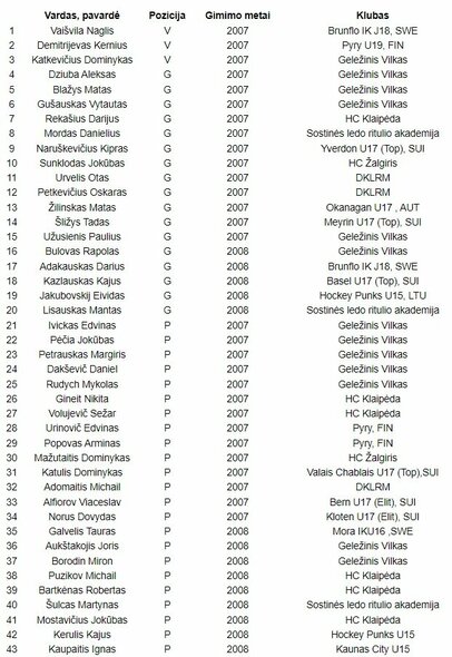 Žaidėjų sąrašas antrajai U-16 amžiaus grupės „Showcase“ stovyklai: | hockey.lt nuotr.
